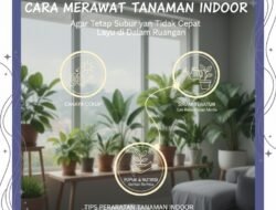 Cara Merawat Tanaman Indoor Agar Tetap Subur dan Tidak Cepat Layu di Dalam Ruangan