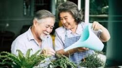 Cara Menghadapi Masa Pensiun Dengan Pikiran Positif dan Rencana Aktivitas yang Produktif Serta Menyenangkan Hati