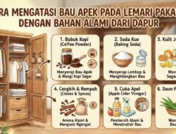 Cara Mengatasi Bau Apek Pada Lemari Pakaian Dengan Bahan Alami Dari Dapur